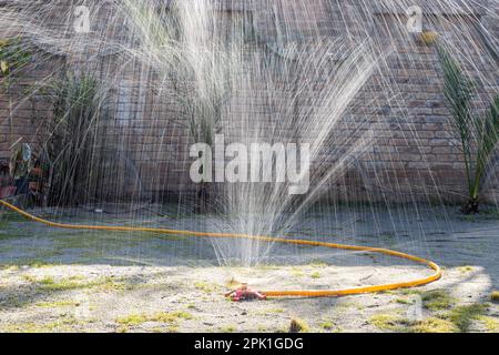 Wassersprenger, der das Wasser in die Luft spritzt, um den Rasen zu bewässern. Selektiver Fokus. Stockfoto