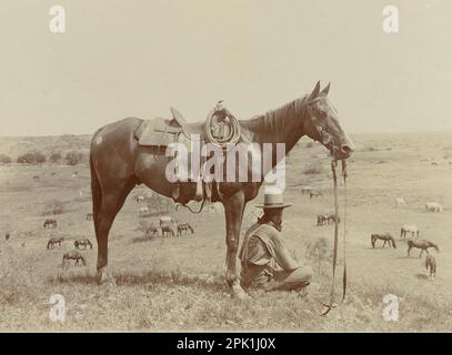 The Horse Wrangler, Foto von Erwin E. Smith - 1910 - Ein sitzender Cowboy neben seinem Pferd blickt auf die Pferde unten - American West Stockfoto
