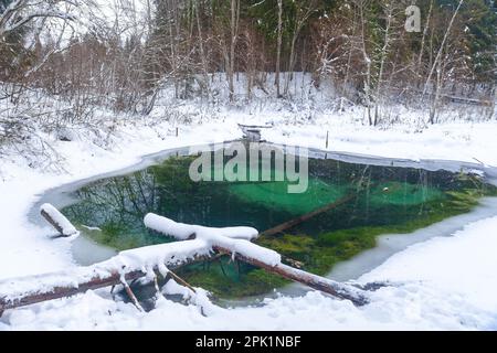 Winter Saula Blue Springs (Siniallikad) Stockfoto