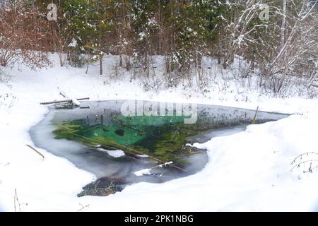 Winter Saula Blue Springs (Siniallikad) Stockfoto