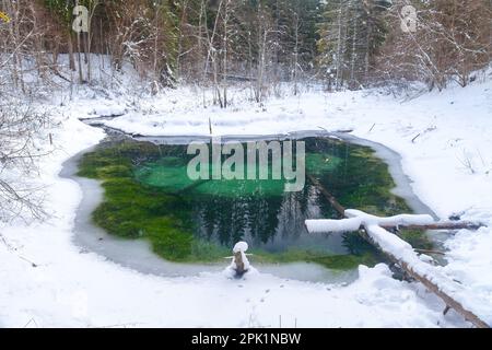 Winter Saula Blue Springs (Siniallikad) Stockfoto