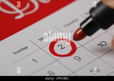 Stichtag 2. Februar im Kalender, Abschluss. Murmeltier-Tag Stockfoto