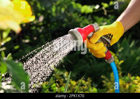 Mann, der Pflanzen aus dem Schlauch im Garten gießt, Nahaufnahme Stockfoto