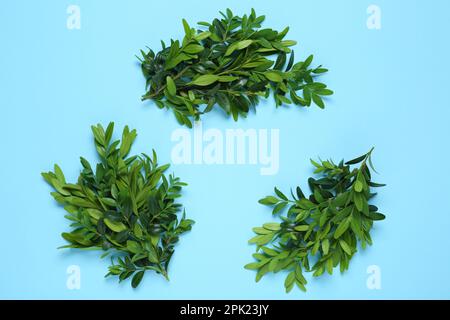 Recycling-Symbol mit grünen Zweigen auf hellblauem Hintergrund, flach verlegt Stockfoto