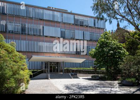 Das Chemistry Building an der University of Sydney, eines der ersten Curtin Wall-Gebäude Australiens aus Glas, wurde 1958 von Webber und Woolley entworfen Stockfoto