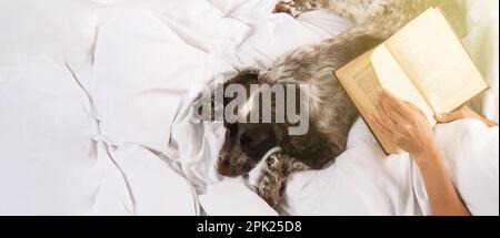 Frau liest Buch und niedlicher Hund liegt neben ihr im Bett, Nahaufnahme mit Platz für Text. Bannerdesign Stockfoto