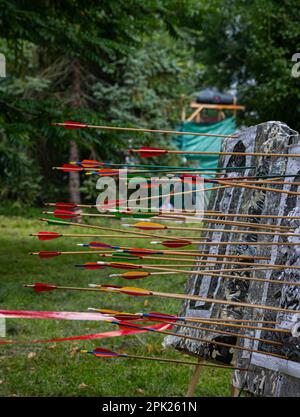 Erfolgreiches Konzept, alle Goldpfeile auf Ziel, Bogenschießen-Sport. Stockfoto