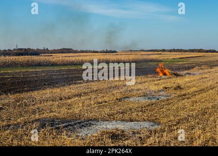 Verbrennung landwirtschaftlicher Abfälle - Smog und Verschmutzung. Schädliche Emissionen aus Heu- und Strohverbrennung auf landwirtschaftlichen Feldern. Stockfoto