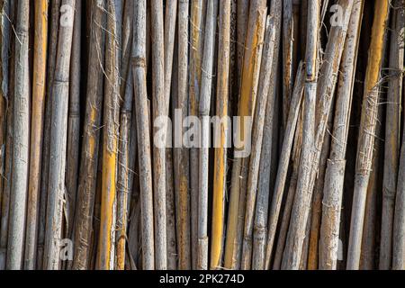 Reed-Hintergrund. Zaun aus Schilf. Struktur des Schilfes. Stockfoto