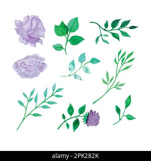 Handgezeichnete botanische Blumen und Blätter, handgezeichnete Aquarellvektorzeichnung für Grußkarten- oder Einladungsdesign Stock Vektor