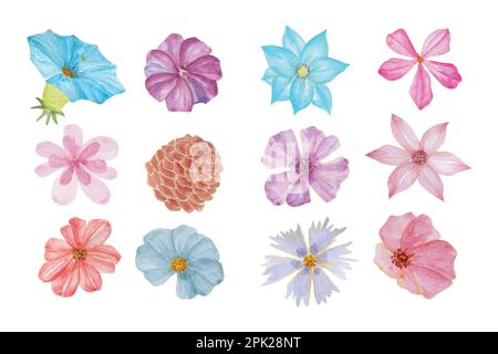 Alle Arten von Blumenkollektion, handgezeichnete Vektorgrafiken in Aquarellfarben für Grußkarten oder Einladungen Stock Vektor