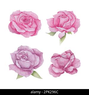 Aquarell Rosenblütensymbol Set, handgezeichnete Aquarellvektorzeichnung für Grußkarte oder Einladungsdesign Stock Vektor