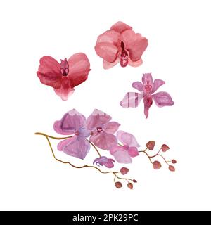 Orchideenblumen in Aquarell, handgezeichnete Aquarellvektoren als Grußkarte oder Einladungsdesign Stock Vektor