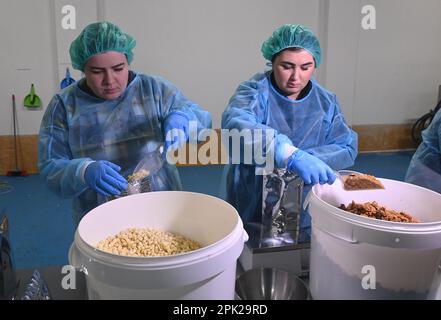 Domazelice, Tschechische Republik. 04. April 2023. Frauen füllen Säcke mit getrockneten Kartoffeln, links, und getrockneten Saft mit Fleisch, rechts, in einem Verpackungsbetrieb der Freeze Dry Company, die eine Technologie zum Trocknen von Fertiggerichten entwickelt hat, mit Gefriertrocknung bei sehr niedrigen Temperaturen und hohem Vakuum, am 4. April 2023 in Domazelice, Bezirk Prerov, Tschechische Republik. Neben der tschechischen Armee liefert das Unternehmen nun über die Sammlung Lebensmittel an ukrainische Soldaten. Die Lebensdauer des Lebensmittels in der Verpackung beträgt 10 Jahre. Kredit: Ludek Perina/CTK Photo/Alamy Live News Stockfoto