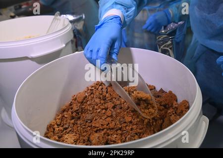 Domazelice, Tschechische Republik. 04. April 2023. Eine Frau schüttet eine Mischung aus Trockensaft und Fleisch in einem Verpackungsbetrieb der Freeze Dry Company, die am 4. April 2023 in Domazelice, Bezirk Prerov, eine Technologie zum Trocknen verzehrfertiger Lebensmittel mittels Gefriertrocknung bei sehr niedrigen Temperaturen und hohem Vakuum entwickelt hat, Tschechische Republik. Neben der tschechischen Armee liefert das Unternehmen nun über die Sammlung Lebensmittel an ukrainische Soldaten. Die Lebensdauer des Lebensmittels in der Verpackung beträgt 10 Jahre. Kredit: Ludek Perina/CTK Photo/Alamy Live News Stockfoto