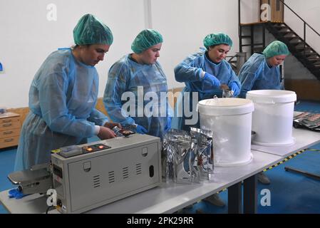 Domazelice, Tschechische Republik. 04. April 2023. Frauen füllen Säcke mit getrockneten Kartoffeln, links, und getrockneten Saft mit Fleisch, rechts, in einem Verpackungsbetrieb der Freeze Dry Company, die eine Technologie zum Trocknen von Fertiggerichten entwickelt hat, mit Gefriertrocknung bei sehr niedrigen Temperaturen und hohem Vakuum, am 4. April 2023 in Domazelice, Bezirk Prerov, Tschechische Republik. Neben der tschechischen Armee liefert das Unternehmen nun über die Sammlung Lebensmittel an ukrainische Soldaten. Die Lebensdauer des Lebensmittels in der Verpackung beträgt 10 Jahre. Kredit: Ludek Perina/CTK Photo/Alamy Live News Stockfoto