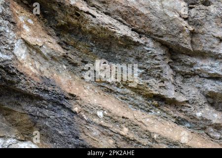 Ein Nest, das von Wespen auf einer Klippe gemacht wurde. Bienennest. Stockfoto