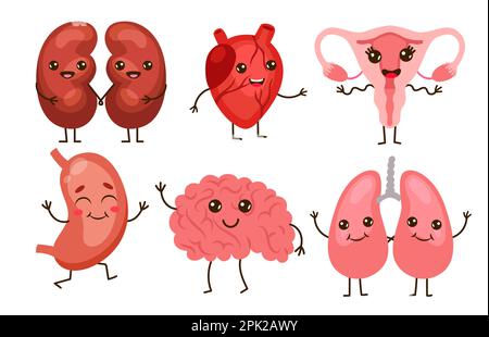 Fröhlicher Comic, menschliche Organe, Flachvektorbilder Stock Vektor