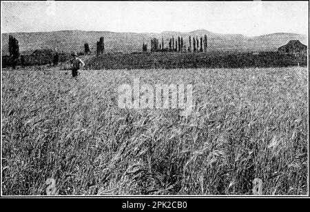 "Trockenlandwirtschaft: Ein landwirtschaftliches System für Länder mit geringen Niederschlägen" (1912) Stockfoto