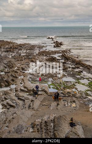 Mit Blick auf den Strand von Crackington Haven Cornwall Stockfoto