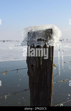 Eine Eiskappe auf einem Zaunpfahl... Eisbildung ( Winterflut 2020/2021 ), Bisliche Insel, Xanten, Deutschland bei extrem kaltem Wetter für die Region Stockfoto