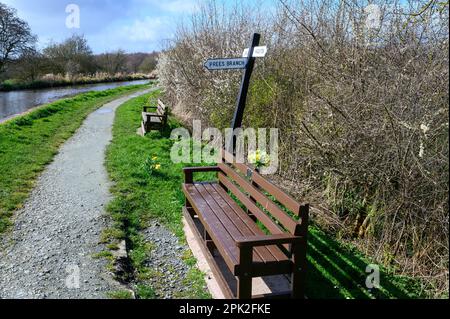 Frühlingsblumen auf einer Gedenkbank neben dem Llangollen-Kanal in der Nähe der Kreuzung der Prees-Filiale in Shropshire. Stockfoto