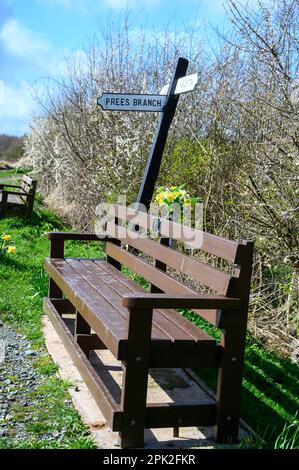 Frühlingsblumen auf einer Gedenkbank neben dem Llangollen-Kanal in der Nähe der Kreuzung der Prees-Filiale in Shropshire. Stockfoto