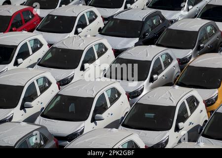 Muster neuer moderner Autos am sonnigen Tag Stockfoto