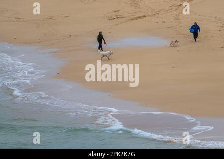 Isle of Lewis, Schottland. 5. April 2023 Wetter in Großbritannien: Ein nasser und windiger Start in die Osterferien auf der Isle of Lewis. Hundefreunde trotzen Wind und Regen am Eoropie Beach ohne Touristen. Kredit: Bradley Taylor / Alamy Live News Stockfoto