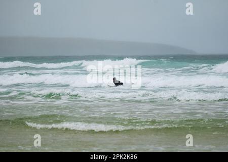 Isle of Lewis, Schottland. 5. April 2023 Wetter in Großbritannien: Ein nasser und windiger Start in die Osterferien auf der Isle of Lewis. Ein einsamer Surfer trotzt den Wellen am Eoropie Beach. Kredit: Bradley Taylor / Alamy Live News Stockfoto