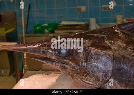Nahaufnahme des Kopfes eines Schwertfisches (xiphias gladius), der in einem Fischhändler exponiert ist, der darauf wartet, an Kunden verkauft zu werden Stockfoto