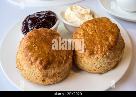 Cream Tea mit zwei frisch gebackenen einfachen Scones mit kleinen Gerichten aus Clotted Cream und Erdbeermarmelade auf einem sauberen weißen Teller und Tischdecke, England, Großbritannien Stockfoto