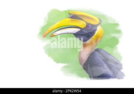 Digitale Aquarellmalerei des großen Hornvogel auf weißem Hintergrund, Seitenansicht des großen Vogels. Stockfoto