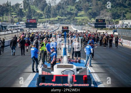 Pomona, Usa. 02. April 2023. Fans dürfen die beiden Spuren erkunden, auf denen die Dragster um das Finale der Weltmeisterschaften antreten werden. Professionelle Dragster-Rennfahrer treffen sich landesweit zu den Lucas Oil NHRA Winternationals, die 63. Jahre in Folge auf der in-N-Out Burger Pomona Dragstrip stattfinden. Die Fahrer kämpften über einen Zeitraum von drei Tagen, der am 31. März begann und am 2. April endete. Sie kämpften um die Titel in jeder Abteilung. Kredit: SOPA Images Limited/Alamy Live News Stockfoto