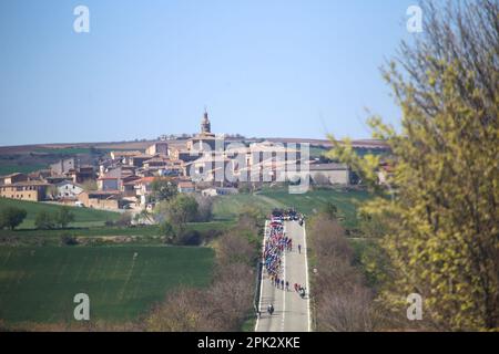 Torres del Rio, Spanien. 04. April 2023. Das gestreckte Peloton während der 2. Etappe des Baskenlandes Itzulia 2023 zwischen Viana und Leitza am 04. April 2023 in Torres del Rio, Spanien. (Foto: Alberto Brevers/Pacific Press/Sipa USA) Guthaben: SIPA USA/Alamy Live News Stockfoto