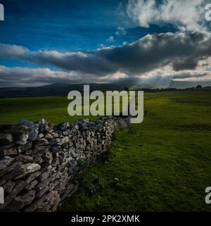 Wechselnde Lichtverhältnisse auf Simon Fell mit Blick auf Penyghent, Yorkshire Dales Nationalpark. Stockfoto