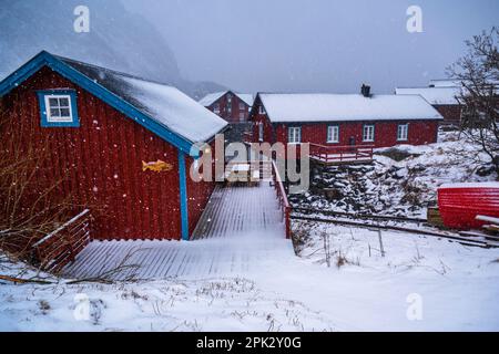 Typisches rotes Cottage (für Fischer oder Ferienunterkunft) in einem kleinen Dorf, das in dichtem Schneefall liegt. Dorf Å, Lofoten, Norwegen. Stockfoto