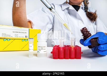 Wissenschaftlerin Doktor Pipettieren Proben im Labor Stockfoto