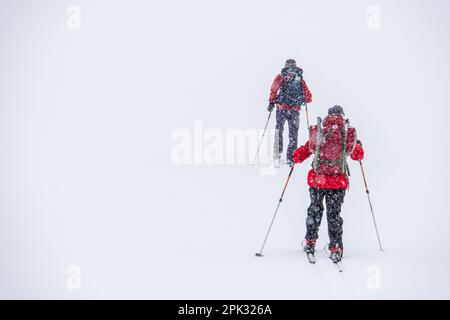 Zwei Leute, die in starkem Schneefall in Norwegen Ski fahren Stockfoto