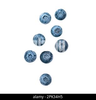 Wilde süße Blaubeere, Beeren fallen und fliegen in der Luft, isoliert auf weißem, abgeschnittenem Pfad Stockfoto