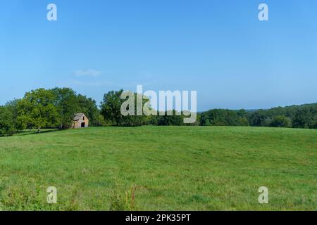 Alte verlassene Hütte auf einer ländlichen Farm in Missouri Stockfoto
