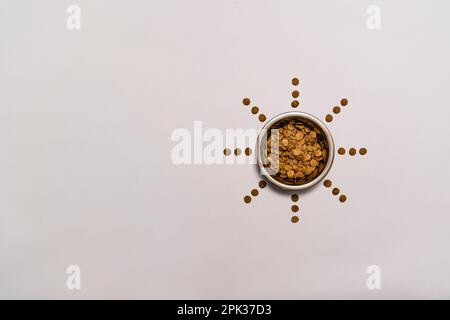Hundefutter mit sternförmigem Muster und Kopierbereich. Isoliert auf grauem Hintergrund. Stockfoto