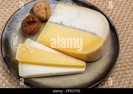 Farbenfroher doppelter holländischer Käse, Hartkäse aus Kuhmilch und Ziegenmilch mit schwarzer Schimmelschicht im Inneren, Nahaufnahme Stockfoto