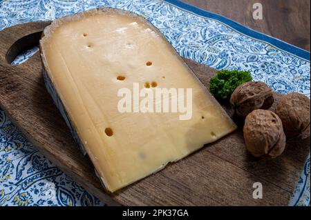 Käsesammlung, belgischer alter gelber Kuhmilchkäse aus Brügge, Käse und Bier Stockfoto