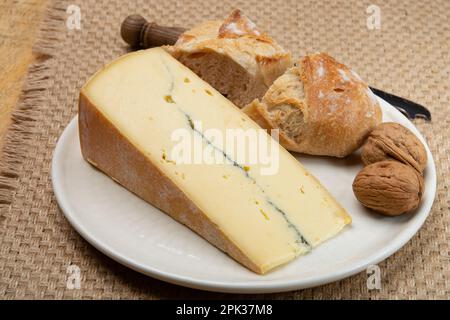 Käsesammlung, halbweicher Kuhmilchkäse von French Morbier mit schwarzer Schimmelschicht Stockfoto