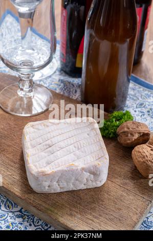 Käse und Bier, belgisches Bier und Kuhmilchgelbkäse mit weißem Schimmel aus Brügge, Belgien Stockfoto