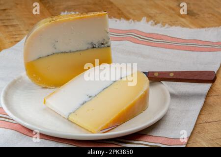 Farbenfroher doppelter holländischer Käse, Hartkäse aus Kuhmilch und Ziegenmilch mit schwarzer Schimmelschicht im Inneren, Nahaufnahme Stockfoto