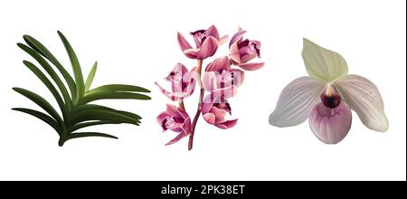 Aquarelle Orchideenstrauß. Realistische Phalaenopsis-, Cymbidium-, cumbrien- und Paphiopedilum-Blüten Stockfoto