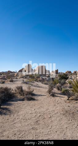 Boulder-Landschaft auf dem Arch Rock Nature Trail im Joshua Tree National Park Stockfoto