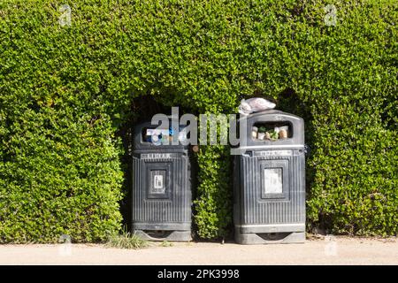 Überfließende Mülltonnen in einer privaten Hecke auf dem Themspfad in Richmond, London, TW9, England, Großbritannien Stockfoto